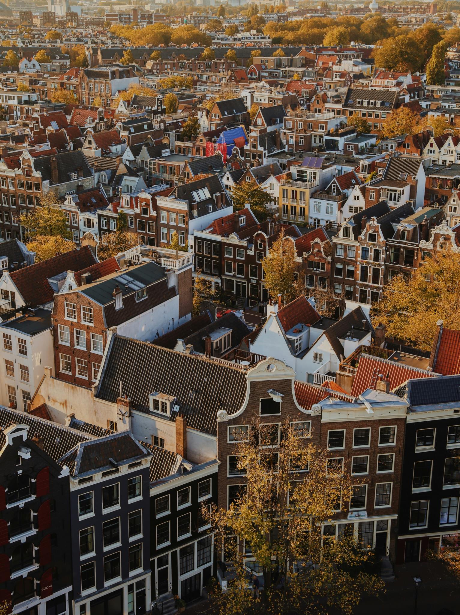 How competitive is your dream city? A breakdown of Dutch housing demand for expats